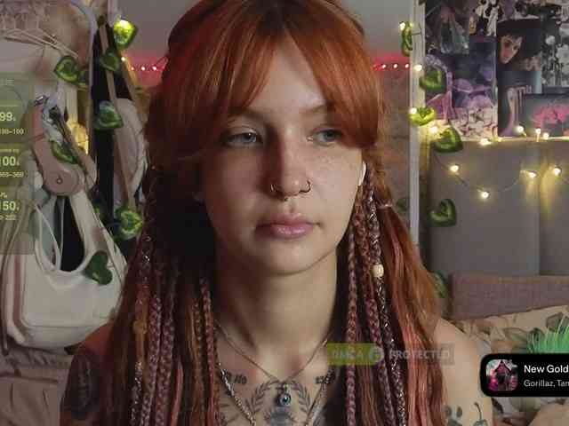 LisLy webcam