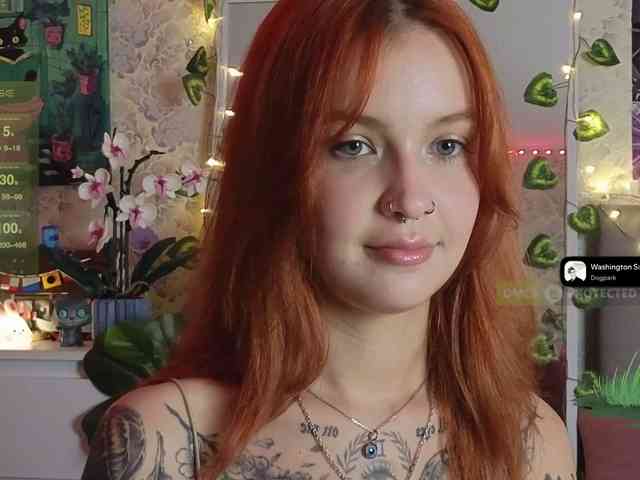 LisLy webcam