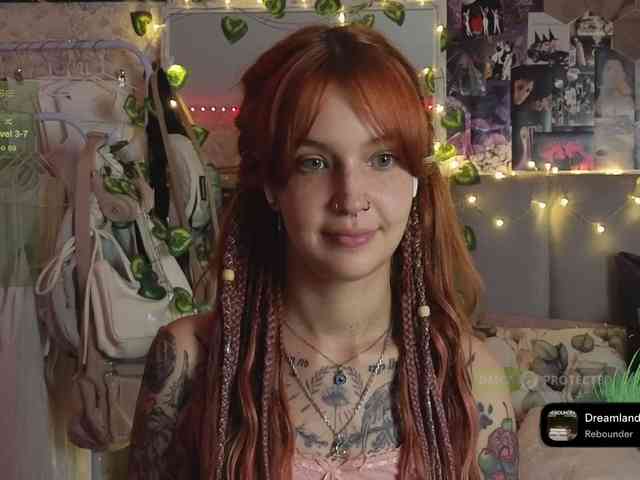 LisLy webcam