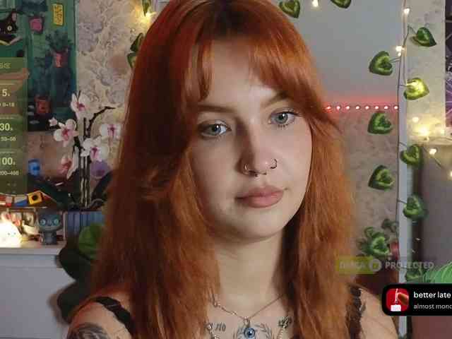 LisLy webcam