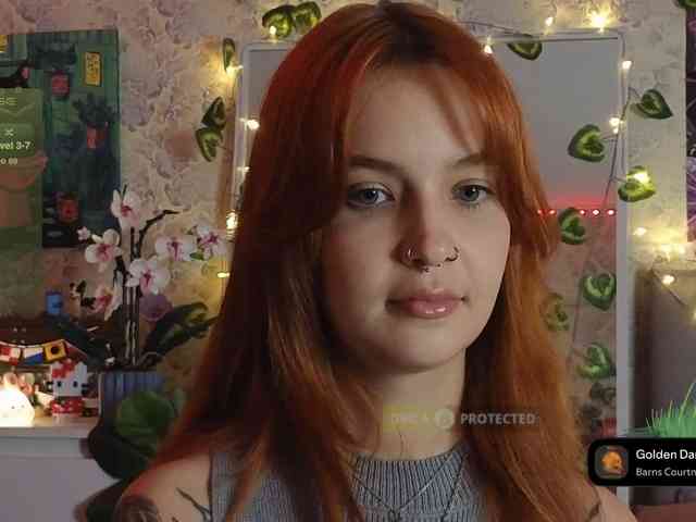LisLy webcam