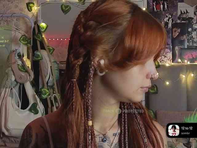 LisLy webcam