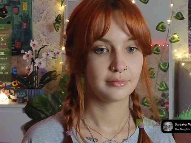 LisLy webcam