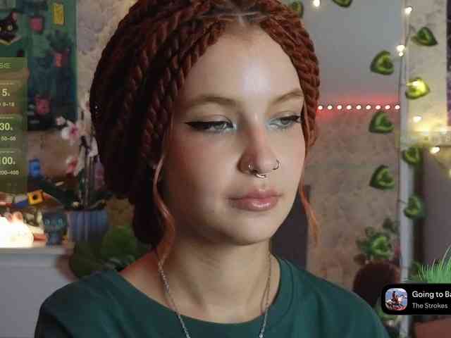 LisLy webcam