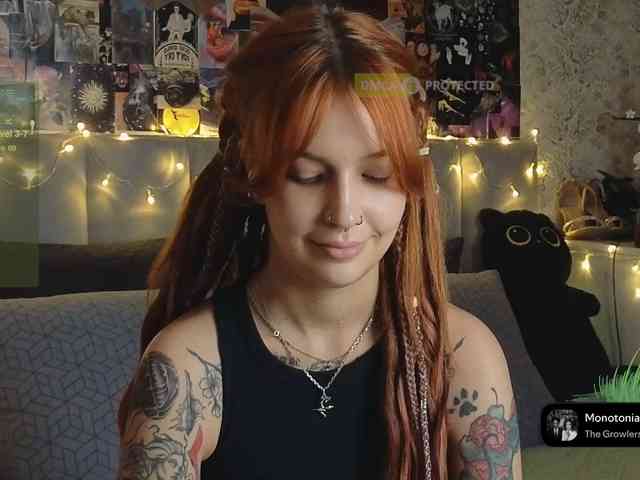 LisLy webcam