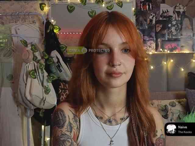 Модель: LisLy