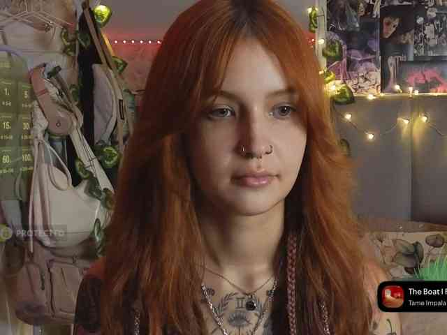 LisLy webcam