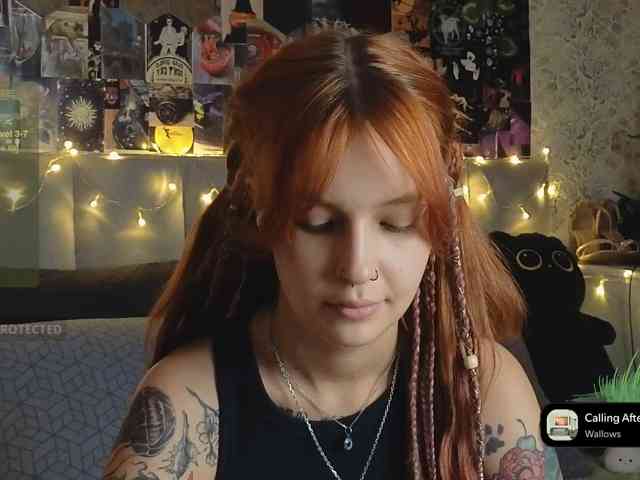 LisLy webcam