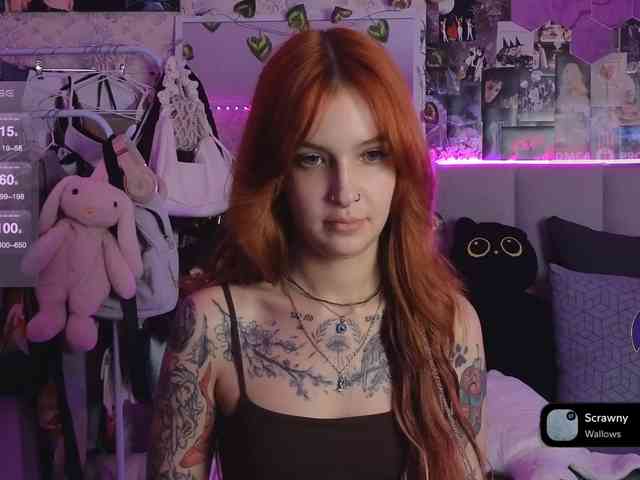 LisLy webcam