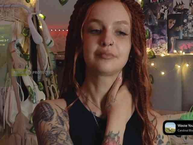 LisLy webcam