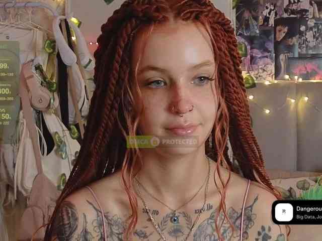LisLy webcam