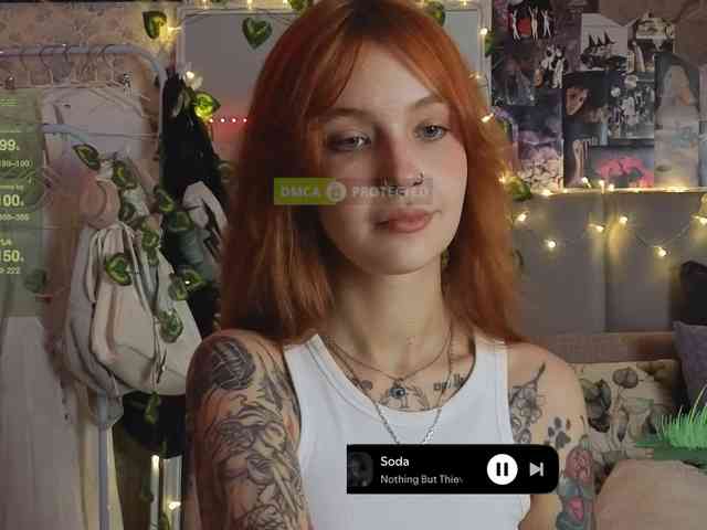 LisLy webcam