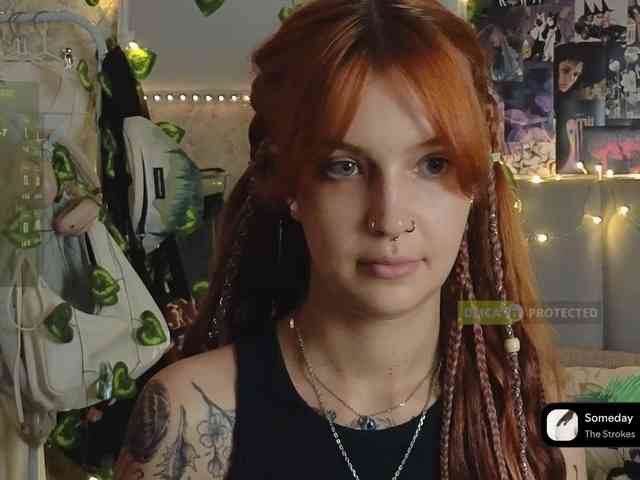 LisLy webcam