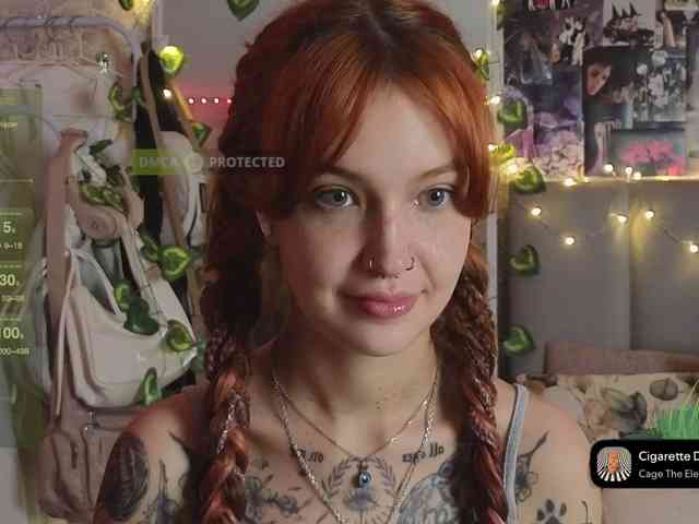 LisLy webcam