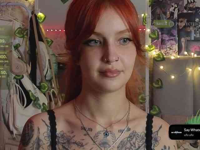 LisLy webcam