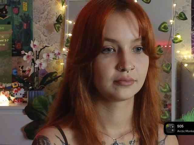 LisLy webcam