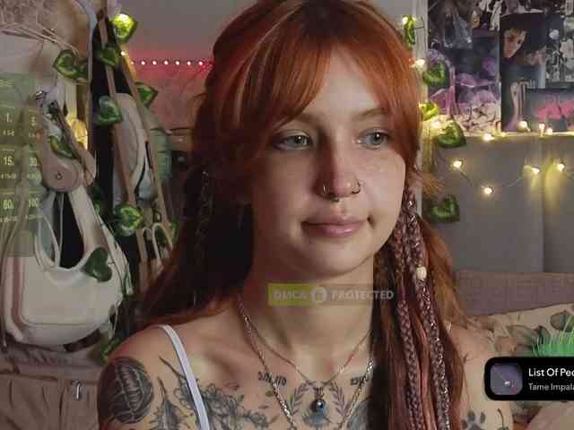 LisLy webcam