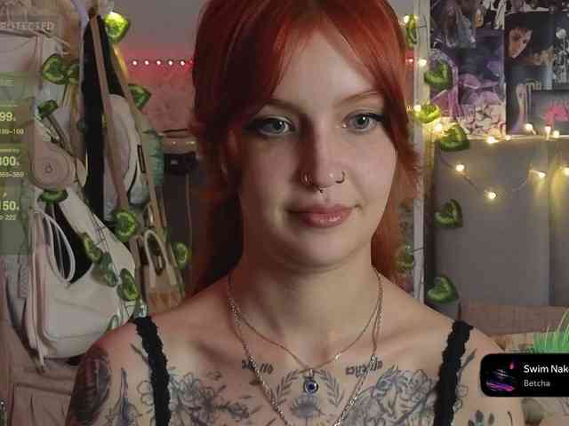 LisLy webcam