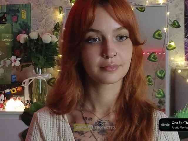 LisLy webcam