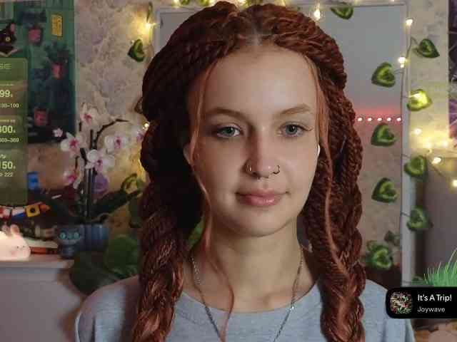 LisLy webcam