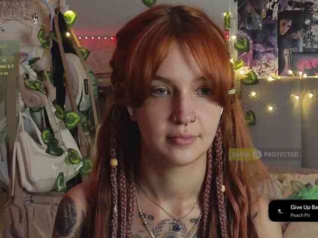 LisLy webcam