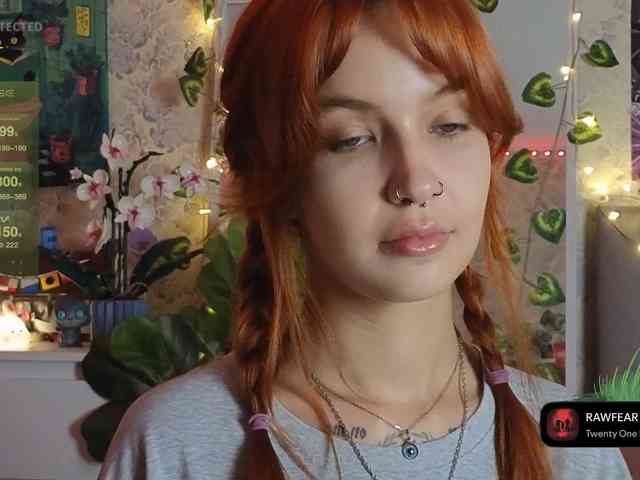 LisLy webcam