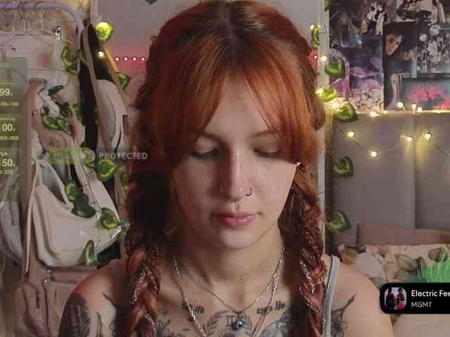 LisLy webcam
