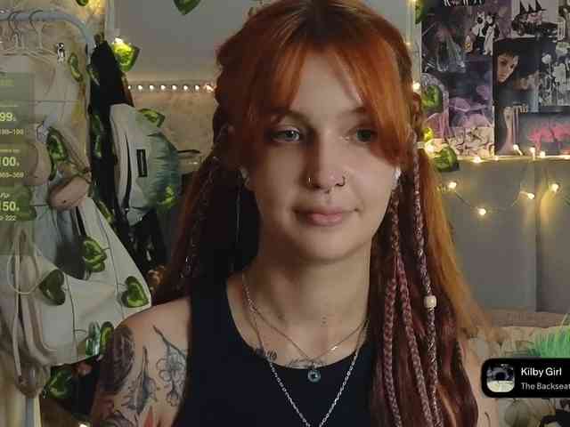 LisLy webcam