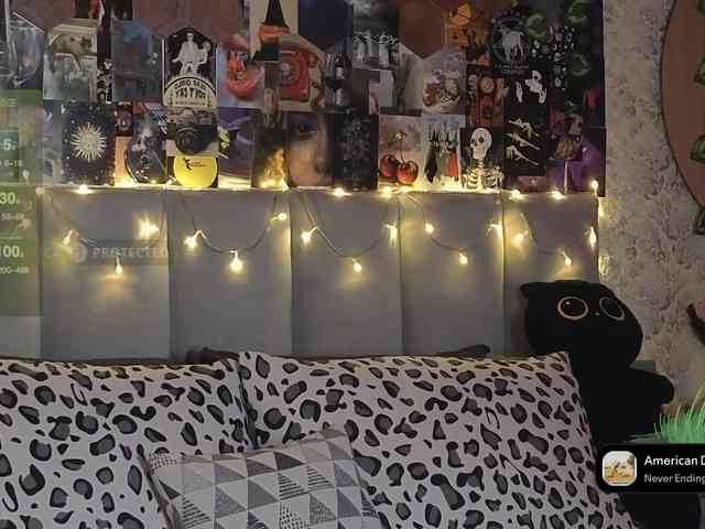 LisLy webcam