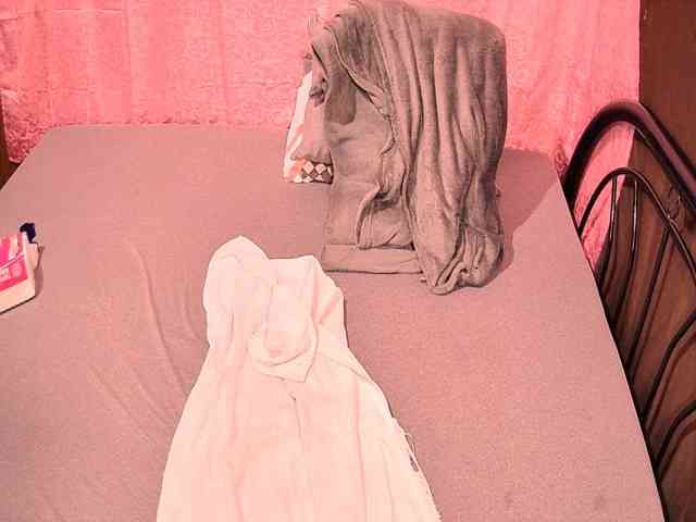 itsmeheart webcam