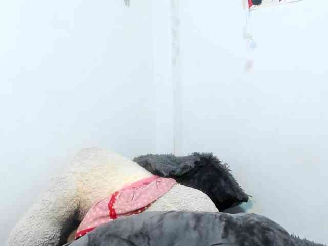 sweetavi webcam