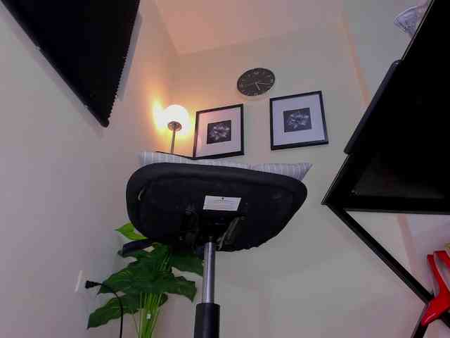 Vero-Starxx webcam