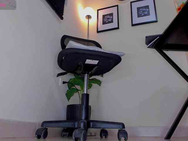 Vero-Starxx webcam