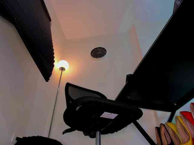 Vero-Starxx webcam