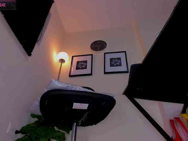 Vero-Starxx webcam