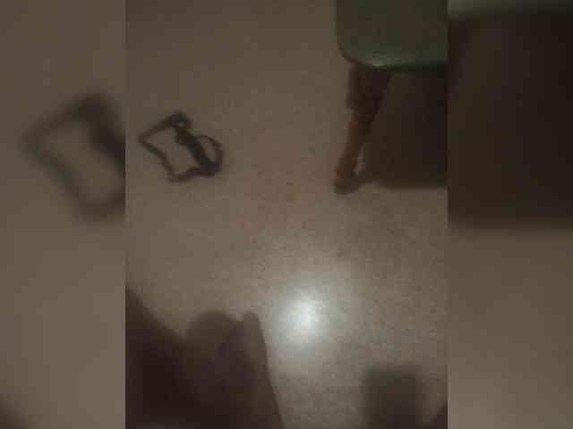 Aurika1 webcam