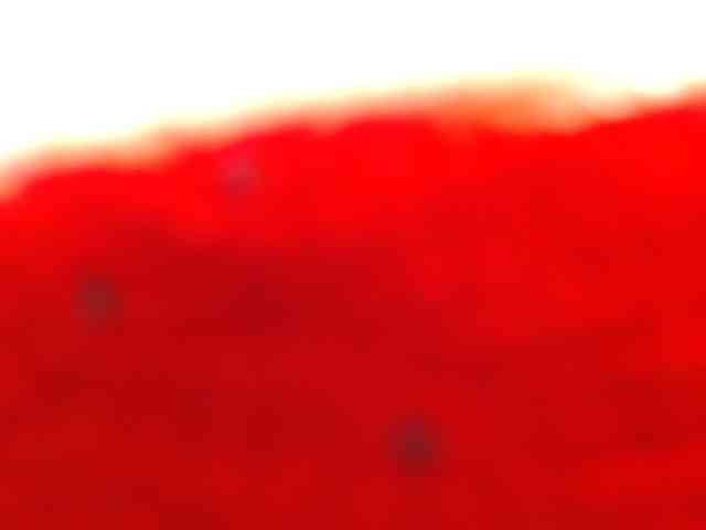 marilyn-beautifullyhairy webcam