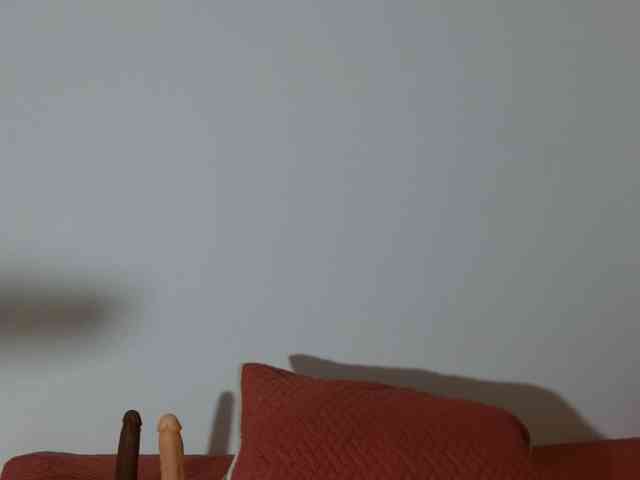 marilyn-beautifullyhairy webcam