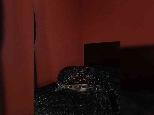 MissKitsune webcam
