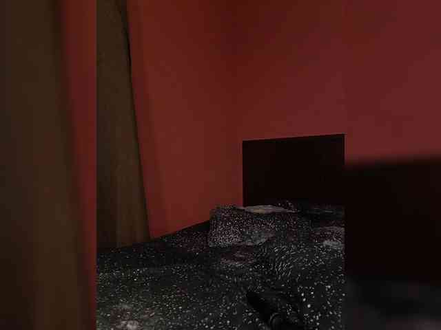 MissKitsune webcam