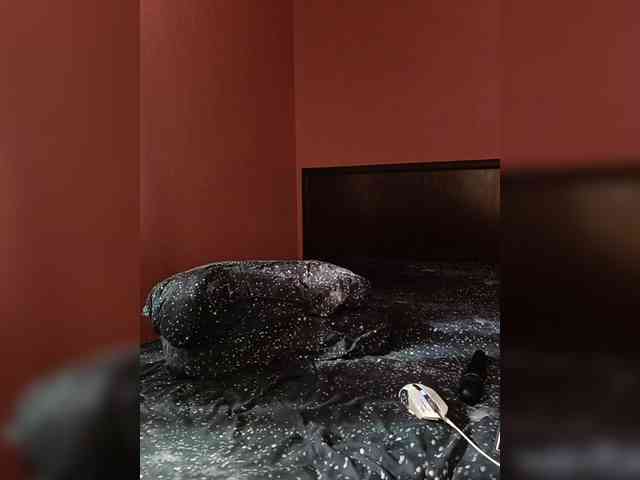 MissKitsune webcam