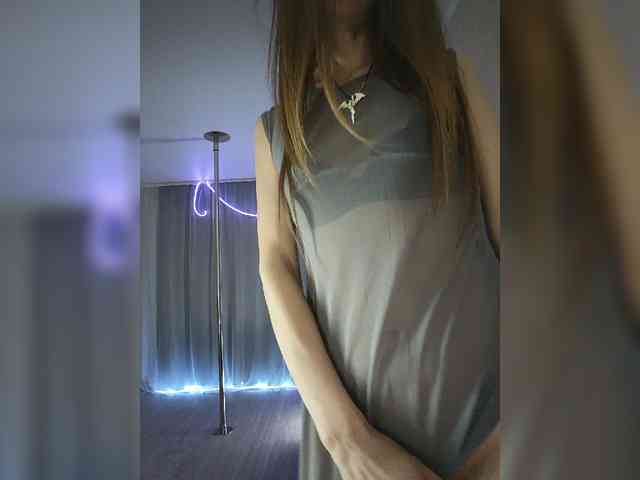 A_R_T_A webcam