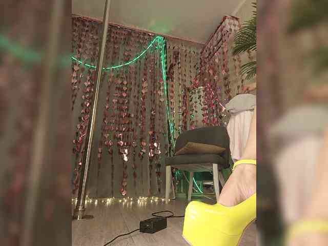 A_R_T_A webcam