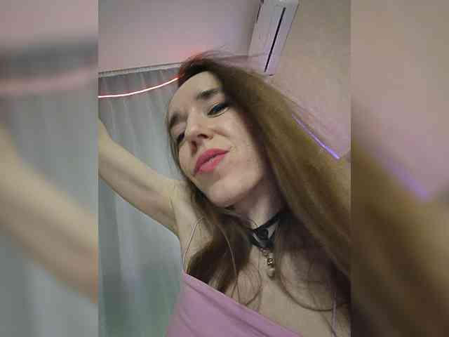 A_R_T_A webcam