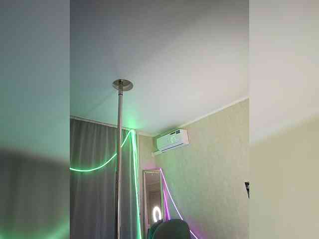 A_R_T_A webcam