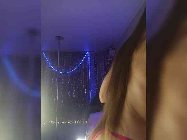 A_R_T_A webcam
