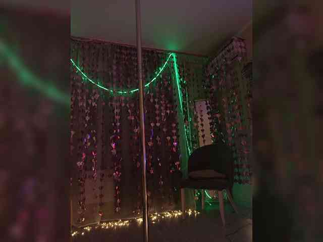 A_R_T_A webcam