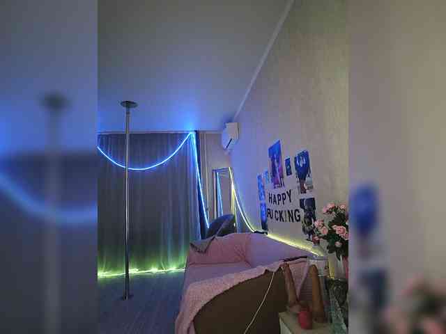 A_R_T_A webcam
