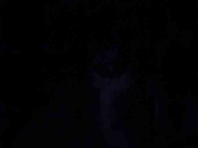 missisMilli webcam