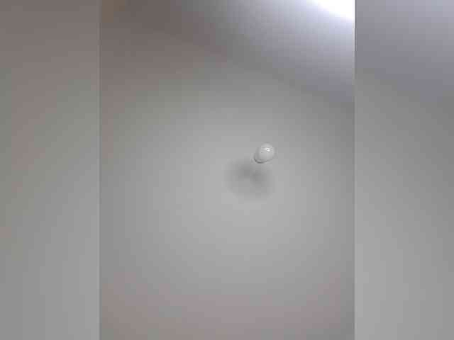 acey-a webcam